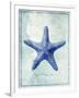 Starfish B-GI ArtLab-Framed Giclee Print