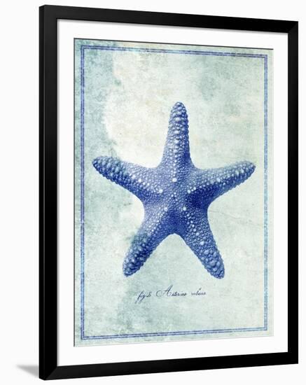 Starfish B-GI ArtLab-Framed Giclee Print