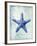 Starfish B-GI ArtLab-Framed Premium Giclee Print