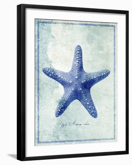 Starfish B-GI ArtLab-Framed Premium Giclee Print