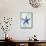 Starfish B-GI ArtLab-Mounted Premium Giclee Print displayed on a wall