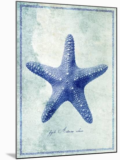 Starfish B-GI ArtLab-Mounted Premium Giclee Print