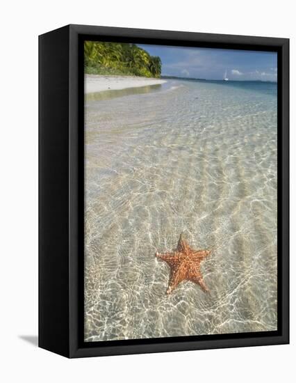 Starfish Beach, Bocas Del Drago, Isla Colon, Bocas Del Toro, Panama, Central America-null-Framed Stretched Canvas