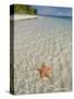 Starfish Beach, Bocas Del Drago, Isla Colon, Bocas Del Toro, Panama, Central America-null-Stretched Canvas