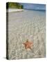 Starfish Beach, Bocas Del Drago, Isla Colon, Bocas Del Toro, Panama, Central America-null-Stretched Canvas