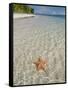 Starfish Beach, Bocas Del Drago, Isla Colon, Bocas Del Toro, Panama, Central America-null-Framed Stretched Canvas