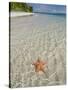 Starfish Beach, Bocas Del Drago, Isla Colon, Bocas Del Toro, Panama, Central America-null-Stretched Canvas