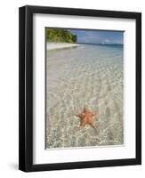 Starfish Beach, Bocas Del Drago, Isla Colon, Bocas Del Toro, Panama, Central America-null-Framed Premium Photographic Print