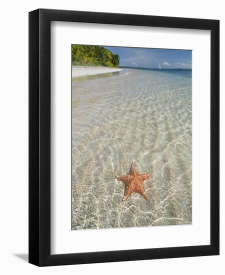 Starfish Beach, Bocas Del Drago, Isla Colon, Bocas Del Toro, Panama, Central America-null-Framed Premium Photographic Print