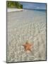 Starfish Beach, Bocas Del Drago, Isla Colon, Bocas Del Toro, Panama, Central America-null-Mounted Premium Photographic Print