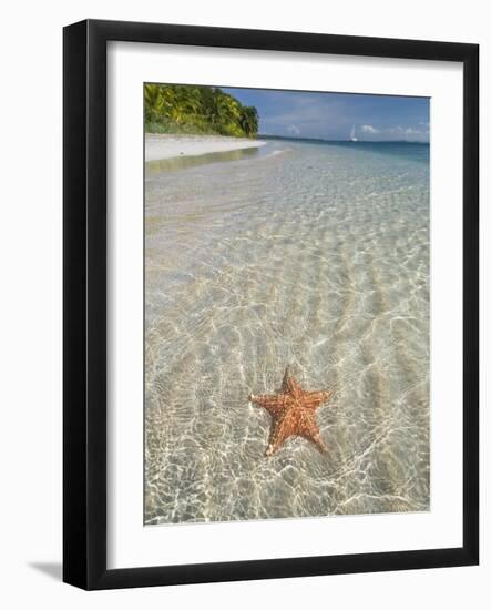 Starfish Beach, Bocas Del Drago, Isla Colon, Bocas Del Toro, Panama, Central America-null-Framed Photographic Print