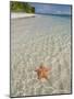 Starfish Beach, Bocas Del Drago, Isla Colon, Bocas Del Toro, Panama, Central America-null-Mounted Photographic Print