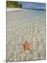 Starfish Beach, Bocas Del Drago, Isla Colon, Bocas Del Toro, Panama, Central America-null-Mounted Photographic Print