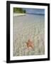 Starfish Beach, Bocas Del Drago, Isla Colon, Bocas Del Toro, Panama, Central America-null-Framed Photographic Print