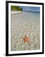 Starfish Beach, Bocas Del Drago, Isla Colon, Bocas Del Toro, Panama, Central America-null-Framed Photographic Print