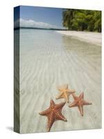 Starfish Beach, Bocas Del Drago, Isla Colon, Bocas Del Toro, Panama, Central America-null-Stretched Canvas