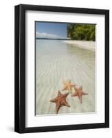 Starfish Beach, Bocas Del Drago, Isla Colon, Bocas Del Toro, Panama, Central America-null-Framed Premium Photographic Print