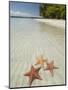 Starfish Beach, Bocas Del Drago, Isla Colon, Bocas Del Toro, Panama, Central America-null-Mounted Premium Photographic Print