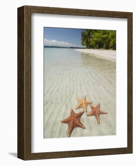 Starfish Beach, Bocas Del Drago, Isla Colon, Bocas Del Toro, Panama, Central America-null-Framed Photographic Print