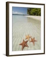 Starfish Beach, Bocas Del Drago, Isla Colon, Bocas Del Toro, Panama, Central America-null-Framed Photographic Print