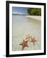 Starfish Beach, Bocas Del Drago, Isla Colon, Bocas Del Toro, Panama, Central America-null-Framed Photographic Print