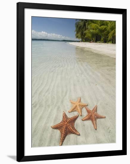 Starfish Beach, Bocas Del Drago, Isla Colon, Bocas Del Toro, Panama, Central America-null-Framed Photographic Print