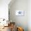 Starfish - Blue - Coastal Icon-Lantern Press-Stretched Canvas displayed on a wall