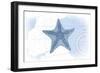 Starfish - Blue - Coastal Icon-Lantern Press-Framed Art Print