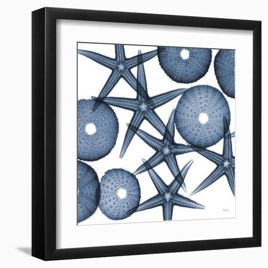 Starfish Blues-Albert Koetsier-Framed Art Print