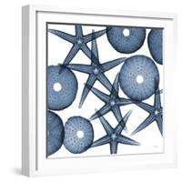 Starfish Blues-Albert Koetsier-Framed Art Print