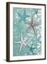 Starfish Bubbles-Diane Stimson-Framed Art Print