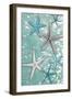 Starfish Bubbles-Diane Stimson-Framed Art Print