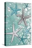 Starfish Bubbles-Diane Stimson-Stretched Canvas