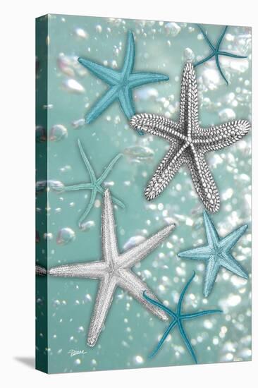 Starfish Bubbles-Diane Stimson-Stretched Canvas