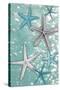 Starfish Bubbles-Diane Stimson-Stretched Canvas