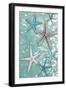 Starfish Bubbles-Diane Stimson-Framed Premium Giclee Print