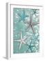 Starfish Bubbles-Diane Stimson-Framed Premium Giclee Print