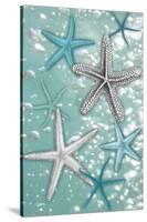 Starfish Bubbles-Diane Stimson-Stretched Canvas