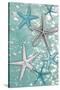 Starfish Bubbles-Diane Stimson-Stretched Canvas