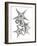 Starfish Bunch F149-Albert Koetsier-Framed Art Print