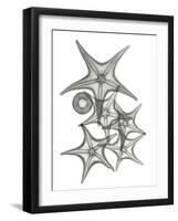Starfish Bunch F149-Albert Koetsier-Framed Art Print