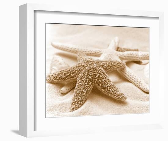 Starfish Family-null-Framed Art Print