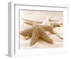 Starfish Family-null-Framed Art Print