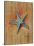 Starfish I-Lanie Loreth-Stretched Canvas