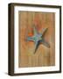 Starfish I-Lanie Loreth-Framed Art Print