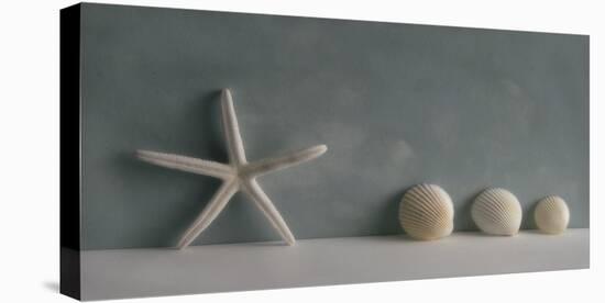 Starfish II-Bill Philip-Stretched Canvas