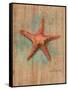 Starfish II-Lanie Loreth-Framed Stretched Canvas