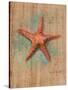 Starfish II-Lanie Loreth-Stretched Canvas