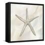 Starfish II-Yvette St. Amant-Framed Stretched Canvas