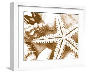 Starfish Impression-null-Framed Art Print